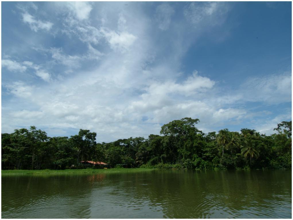 Lirio Lodge Barra de Pacuare Esterno foto