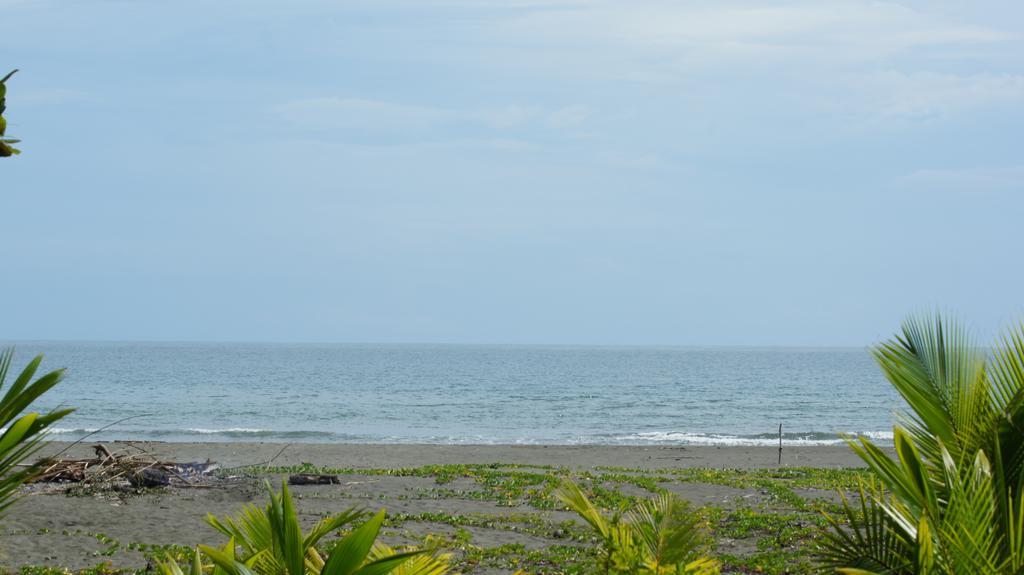 Lirio Lodge Barra de Pacuare Esterno foto