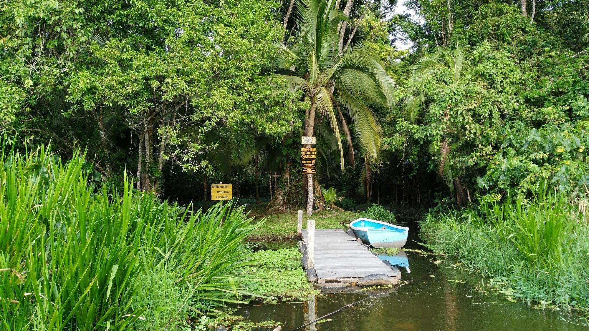 Lirio Lodge Barra de Pacuare Esterno foto