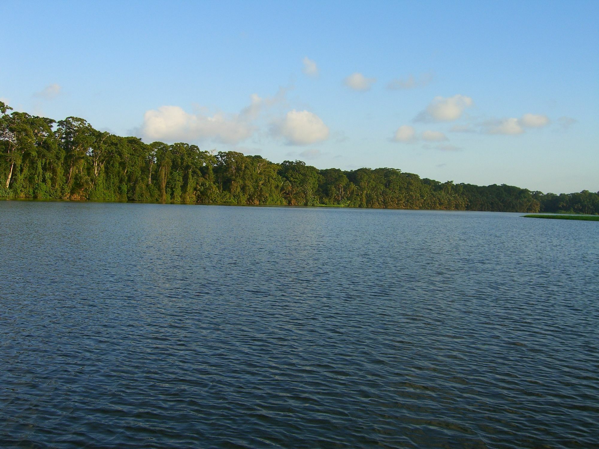 Lirio Lodge Barra de Pacuare Esterno foto