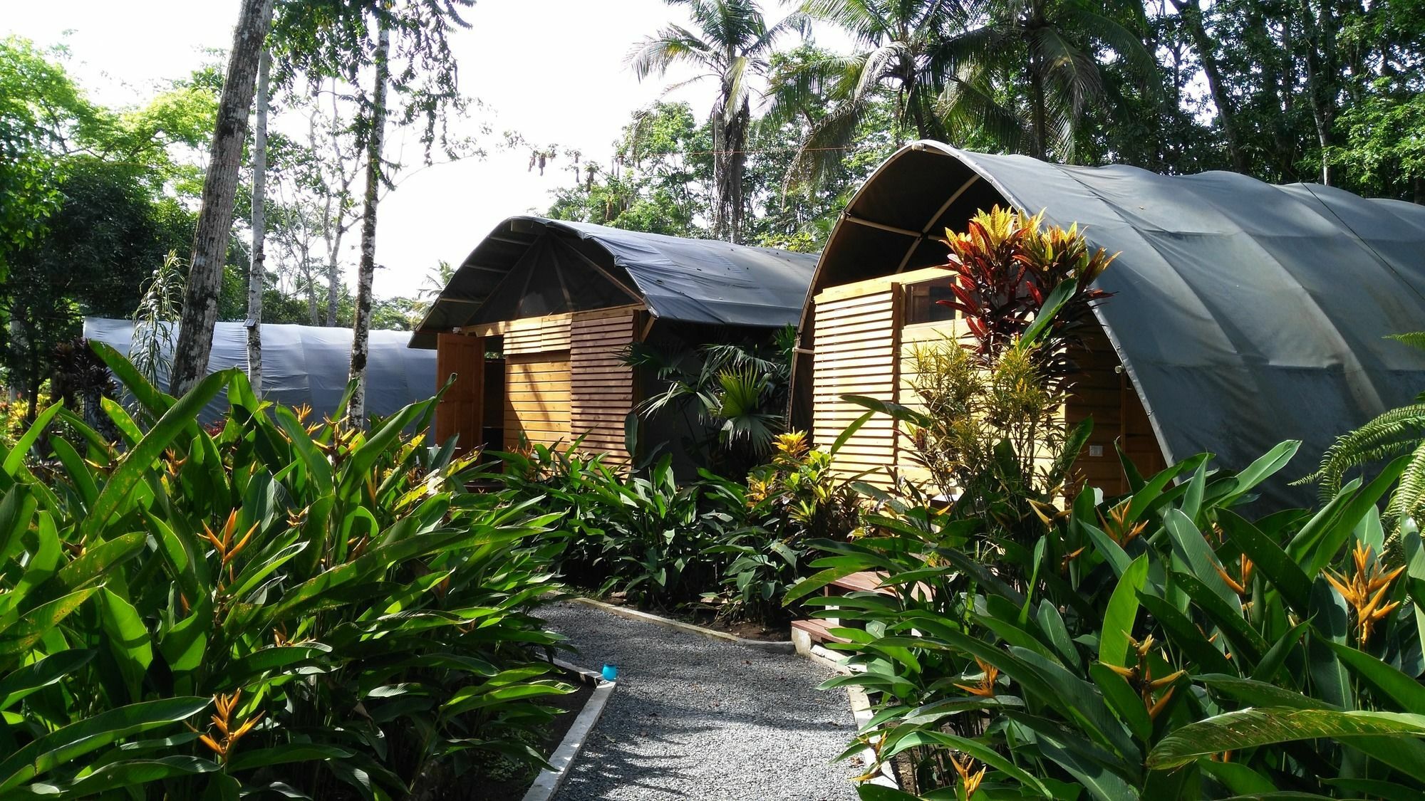 Lirio Lodge Barra de Pacuare Esterno foto