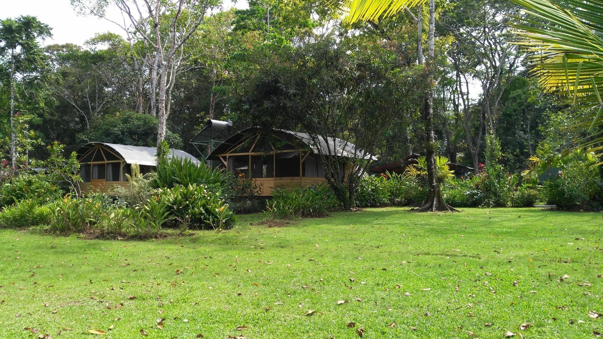 Lirio Lodge Barra de Pacuare Esterno foto