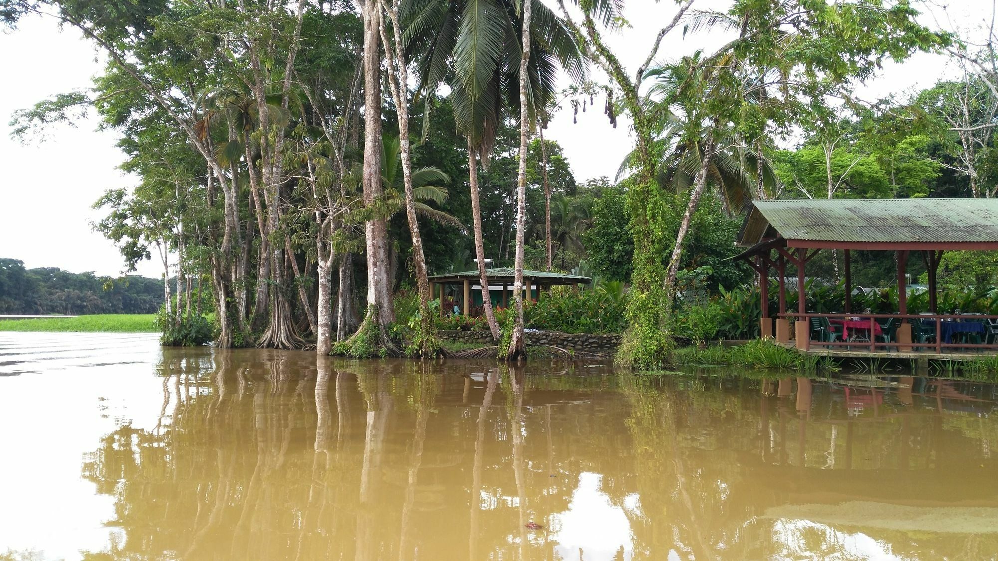 Lirio Lodge Barra de Pacuare Esterno foto