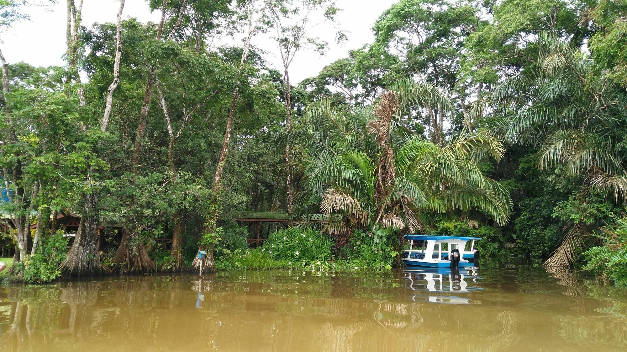 Lirio Lodge Barra de Pacuare Esterno foto