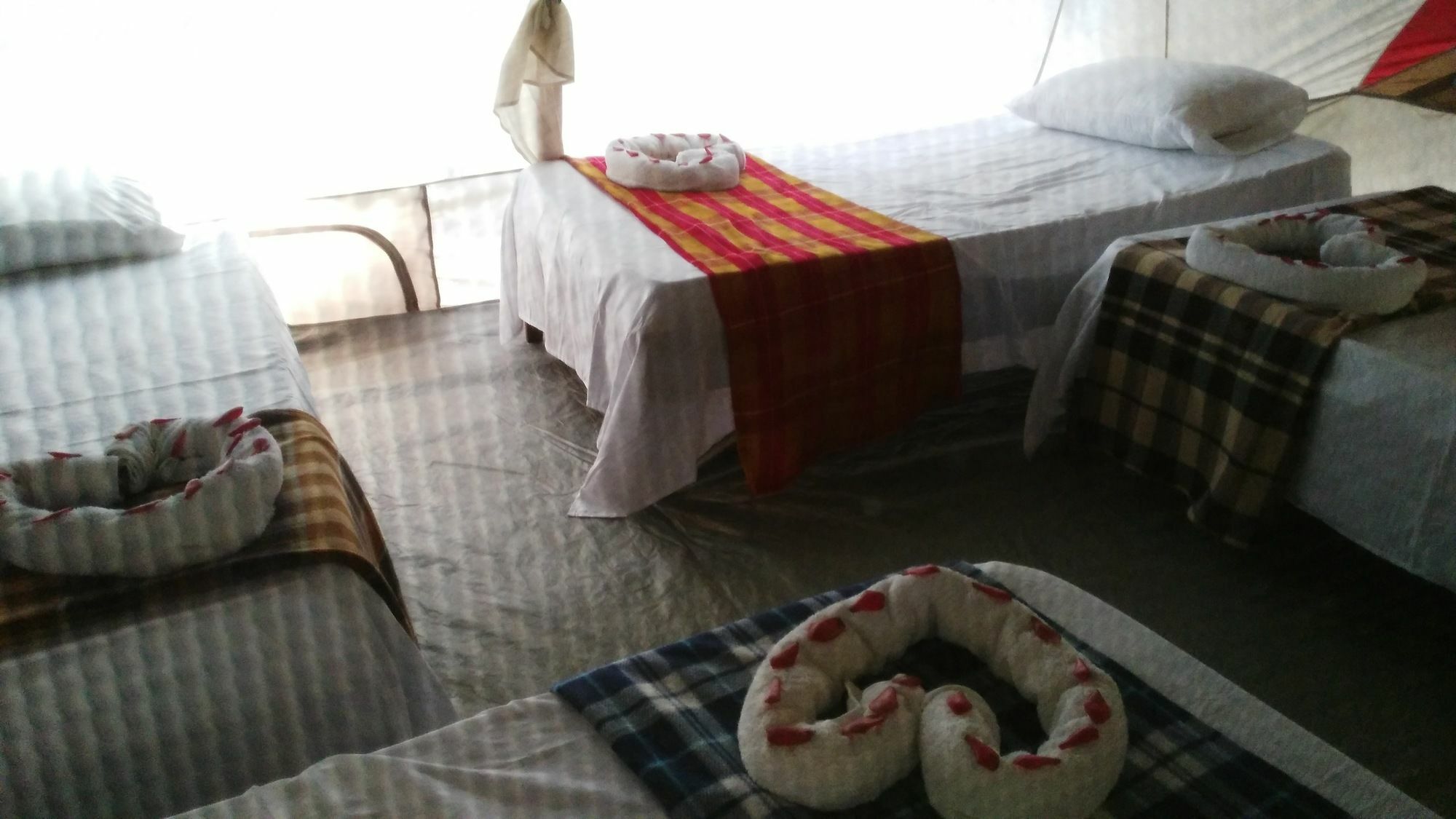 Lirio Lodge Barra de Pacuare Esterno foto